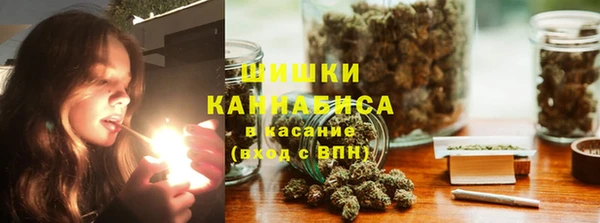 гашик Алзамай