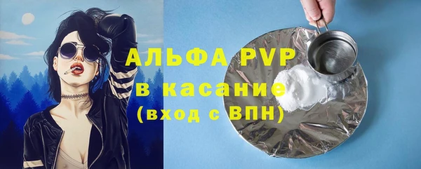 хмурый Алексин