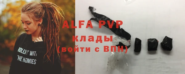 хмурый Алексин