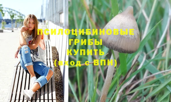 хмурый Алексин