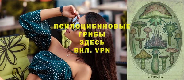 гашик Алзамай