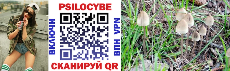 Галлюциногенные грибы Magic Shrooms  наркотики  Апатиты 